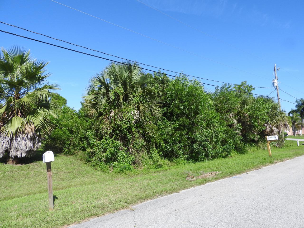2214 Mandrake Circle - Photo 1