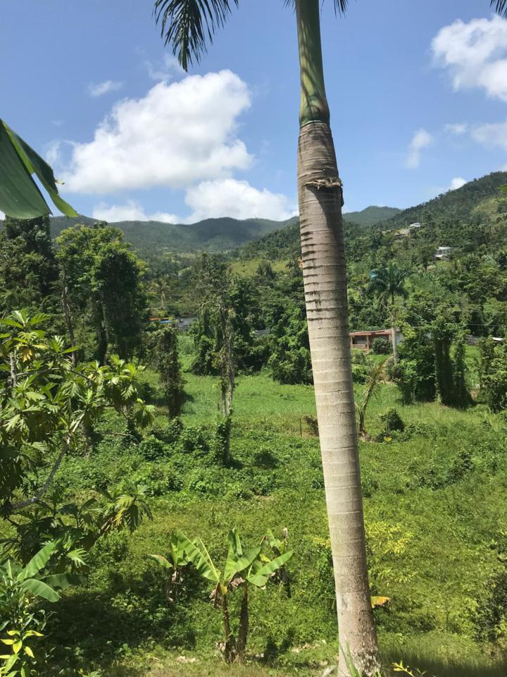 745 Km 4 1 Bo Espino - Photo 1