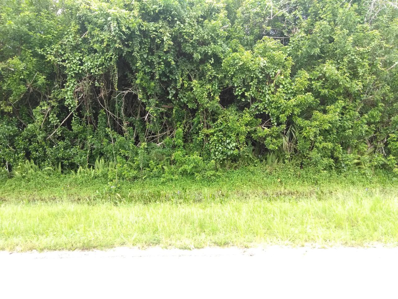 0 97th Drive - Photo 1