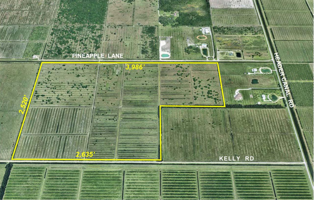 000 Kelly Road - Photo 1