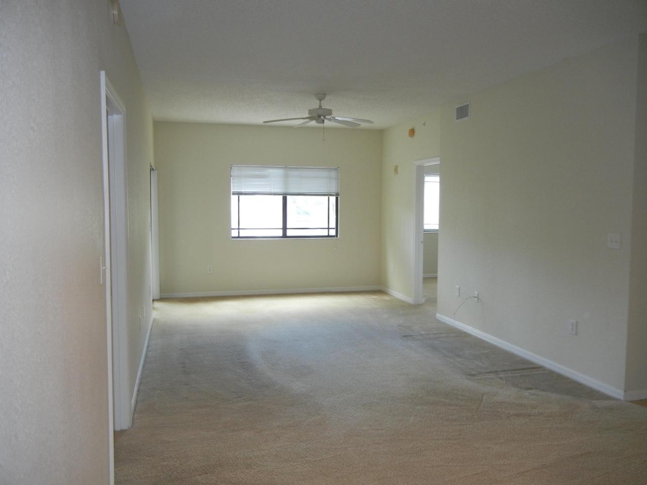 2805 Veronia Drive - Photo 1