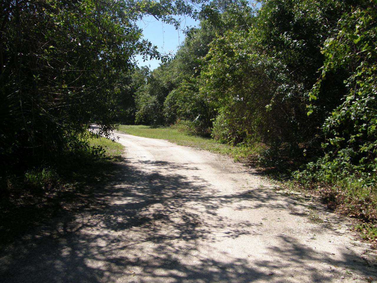 0 Ulrich Road - Photo 1