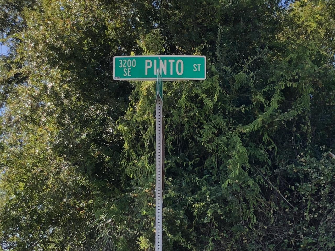 3200 Pinto Street - Photo 1