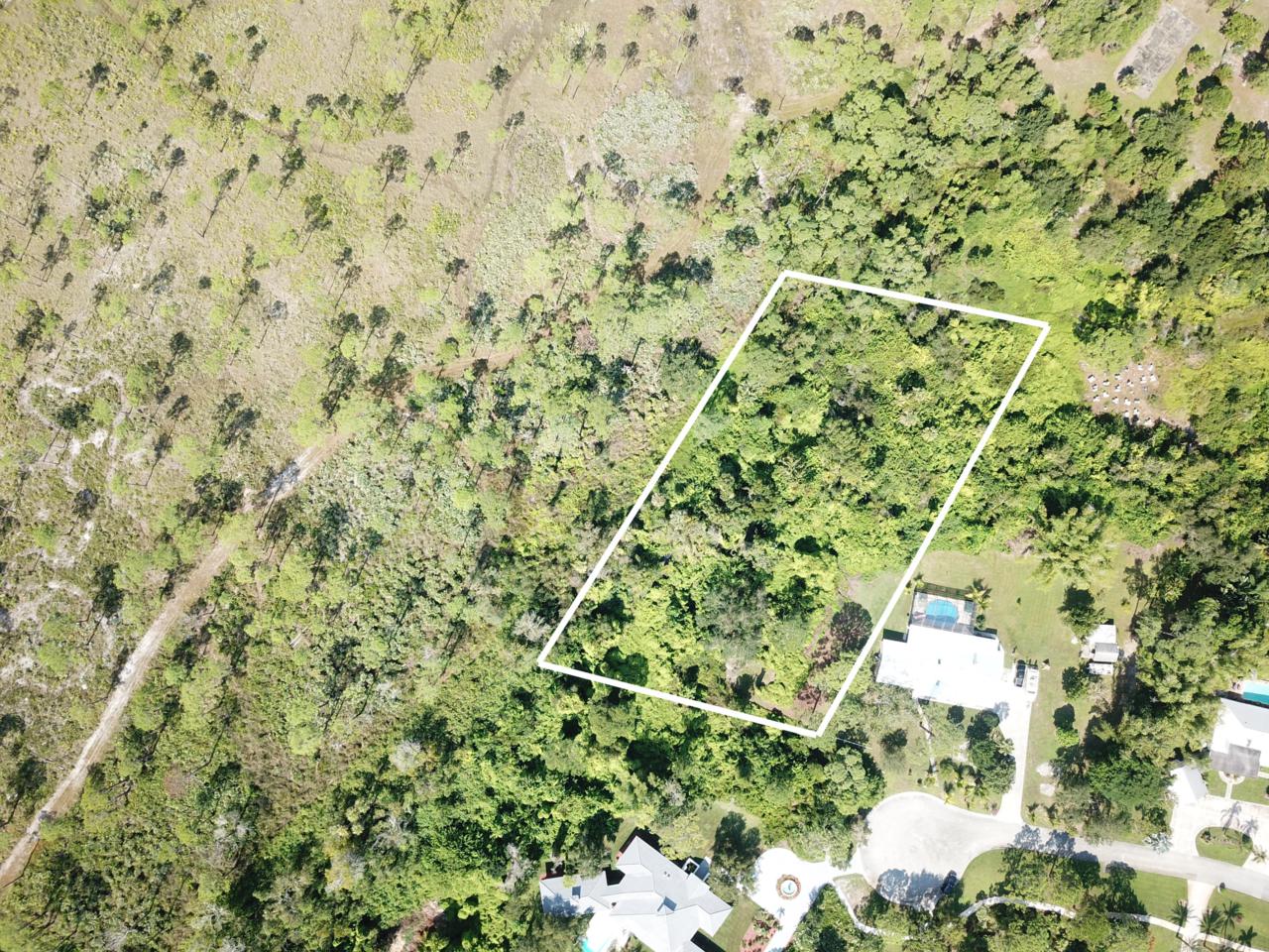 Tbd Peach Way - Photo 1