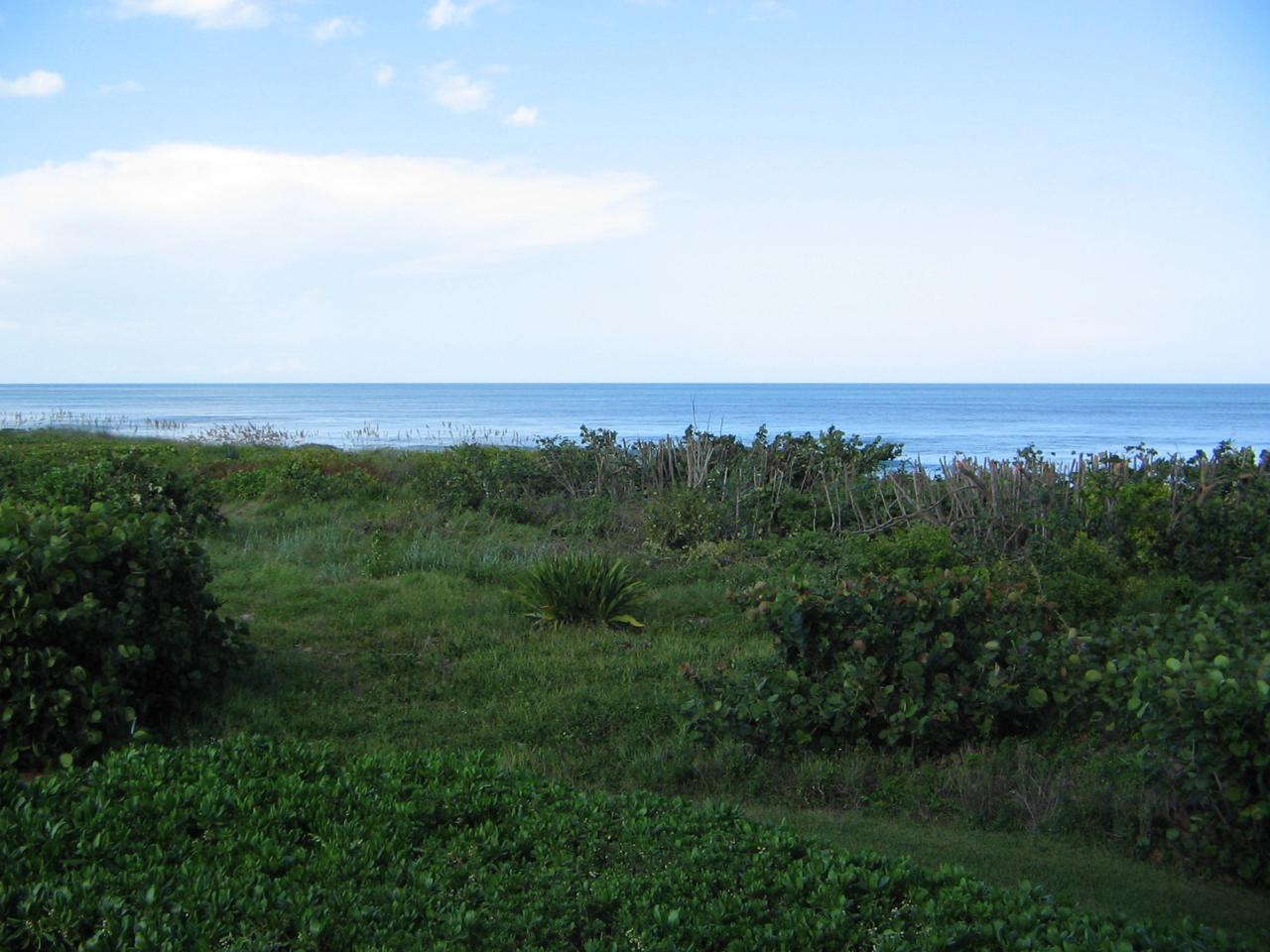 4002 Highway A1a - Photo 1