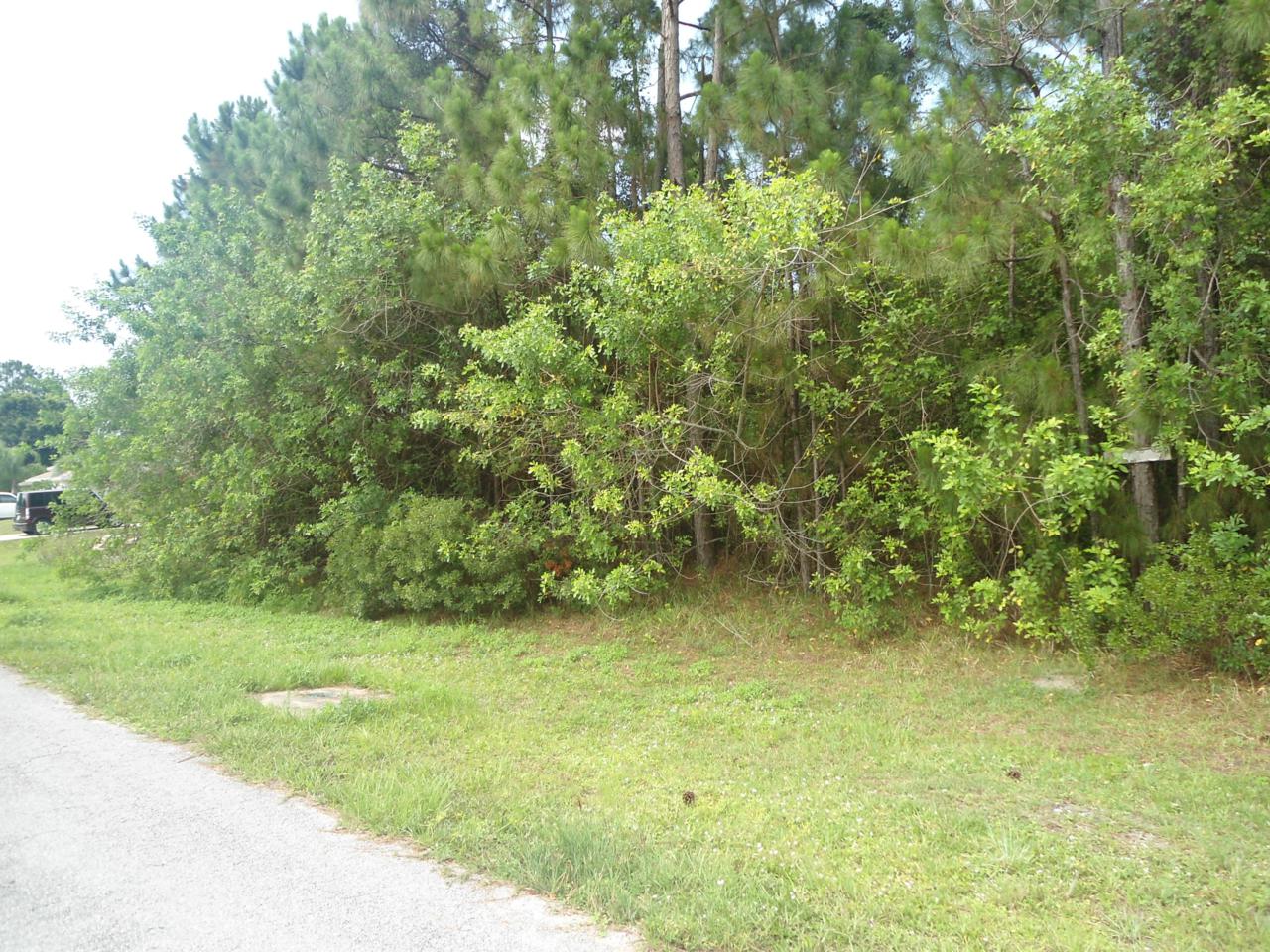 7007 Ramrod Circle - Photo 1