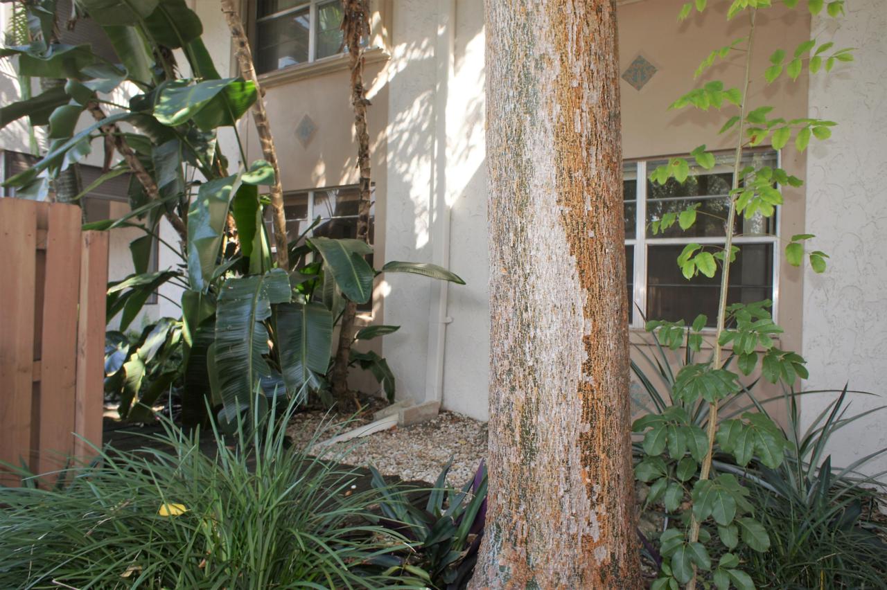 1074 13th Street - Photo 1