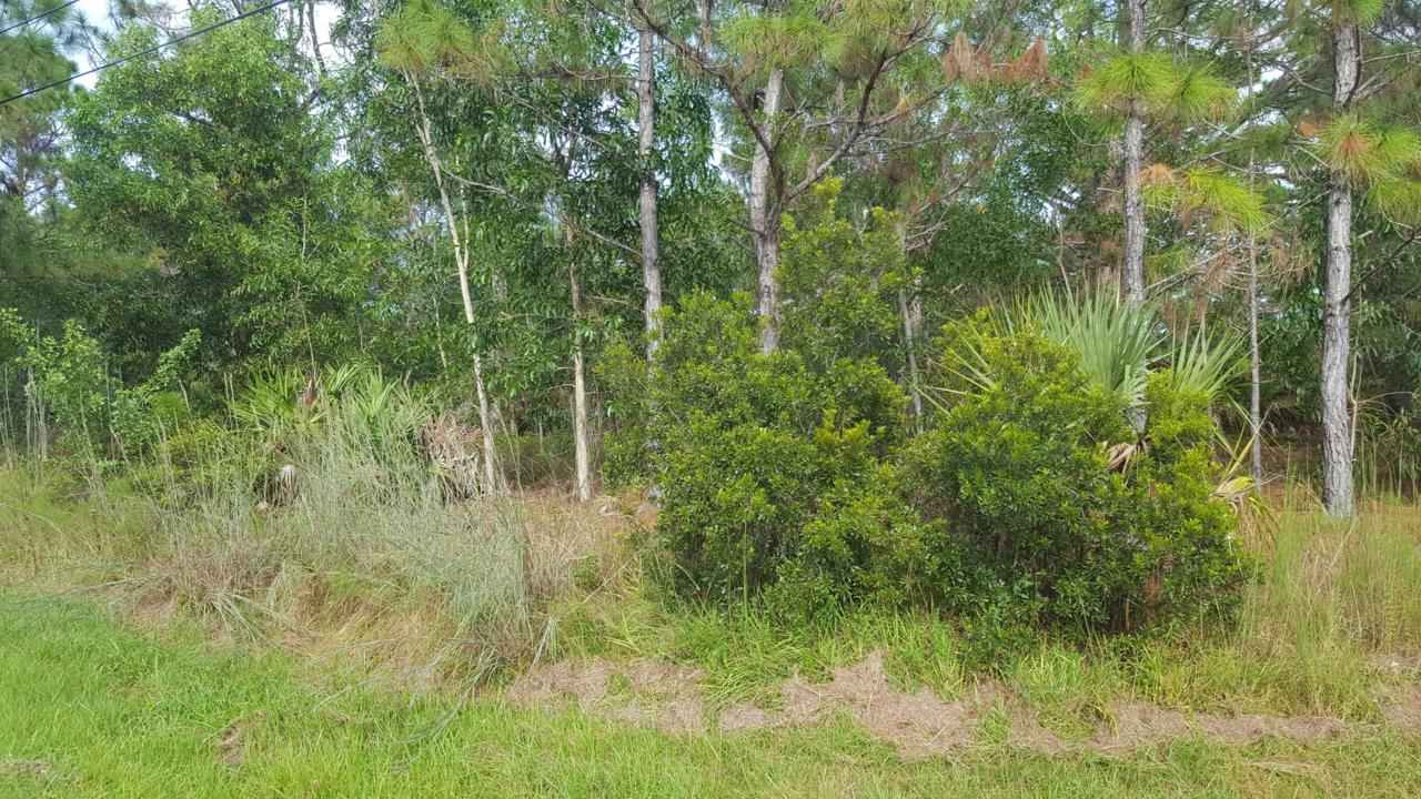 5599 Wesley Road - Photo 1