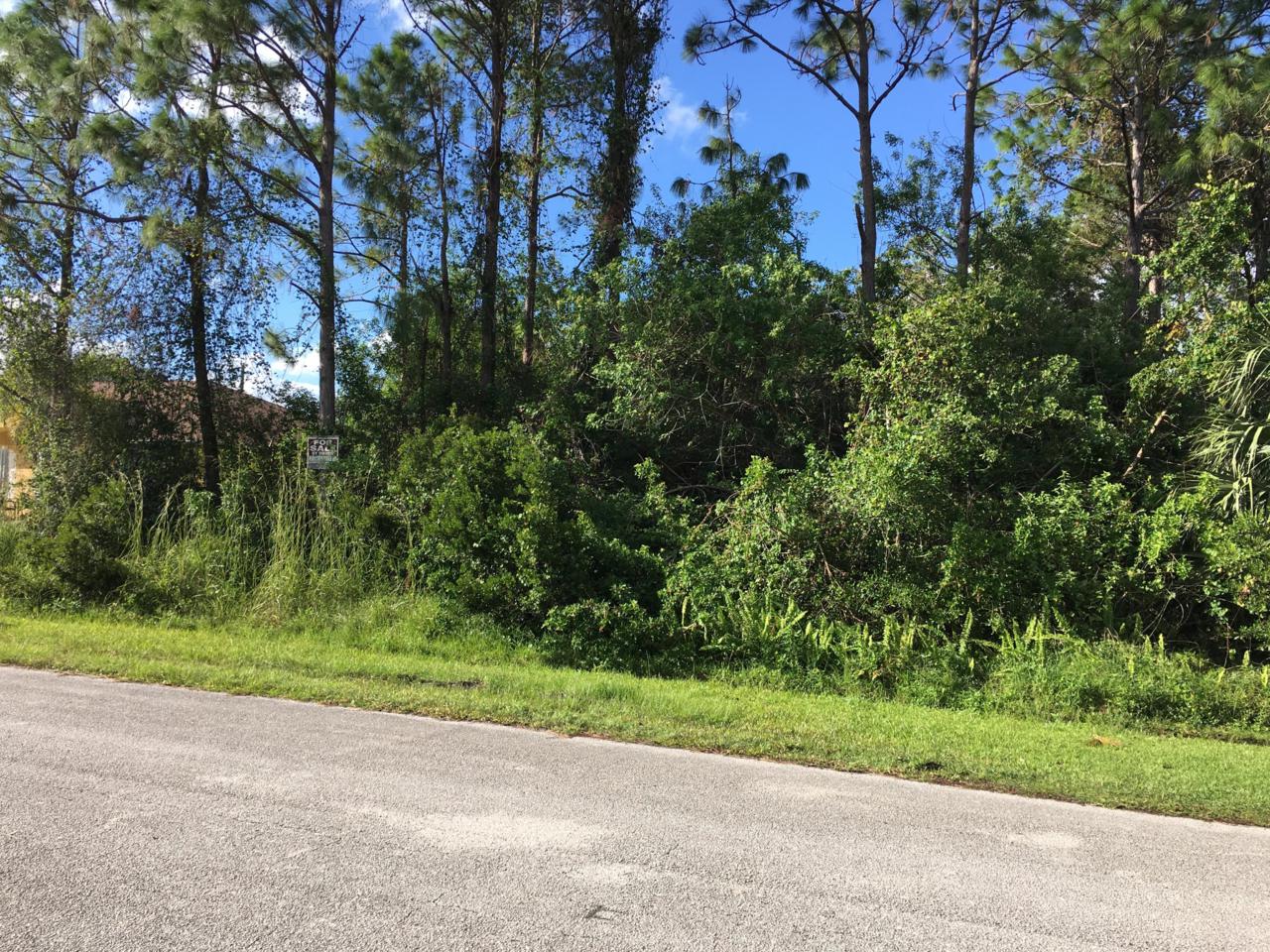 237 Chandler Terrace - Photo 1