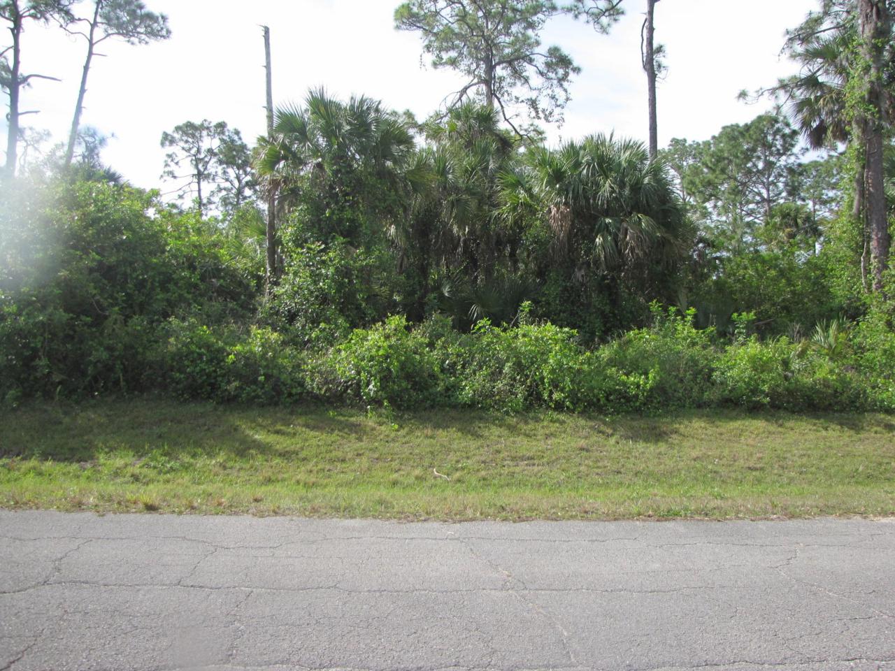 5001 Montrose Lane - Photo 1