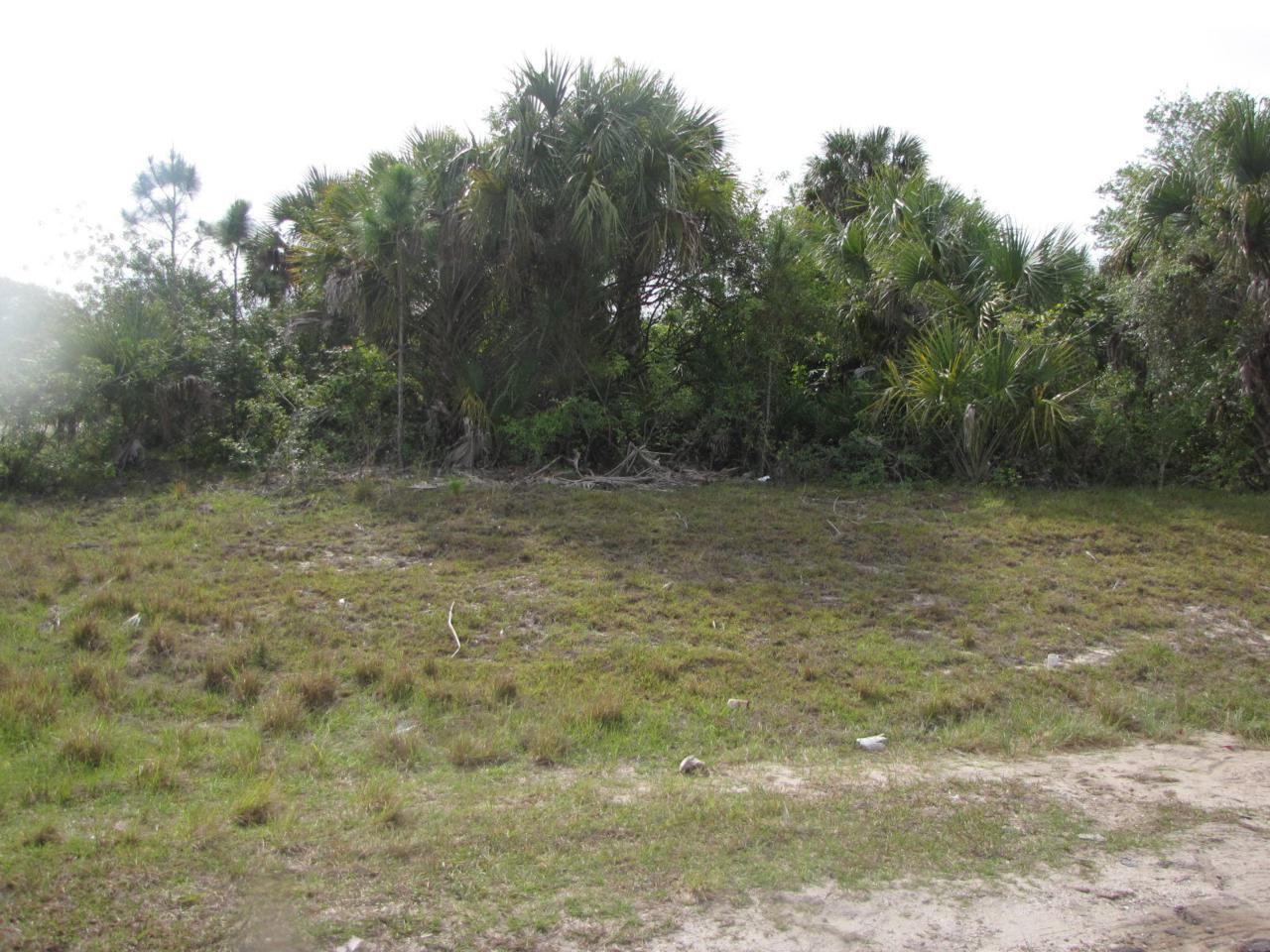 5002 Obispo Circle - Photo 1