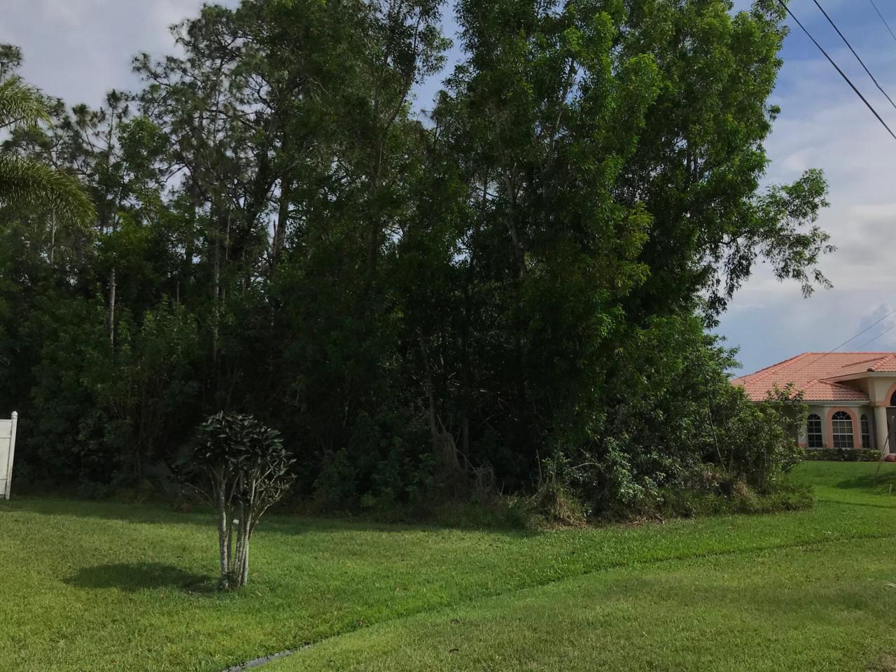 4852 Ever Road - Photo 1
