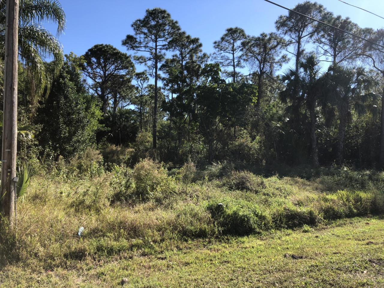 0 Palmetto Drive - Photo 1