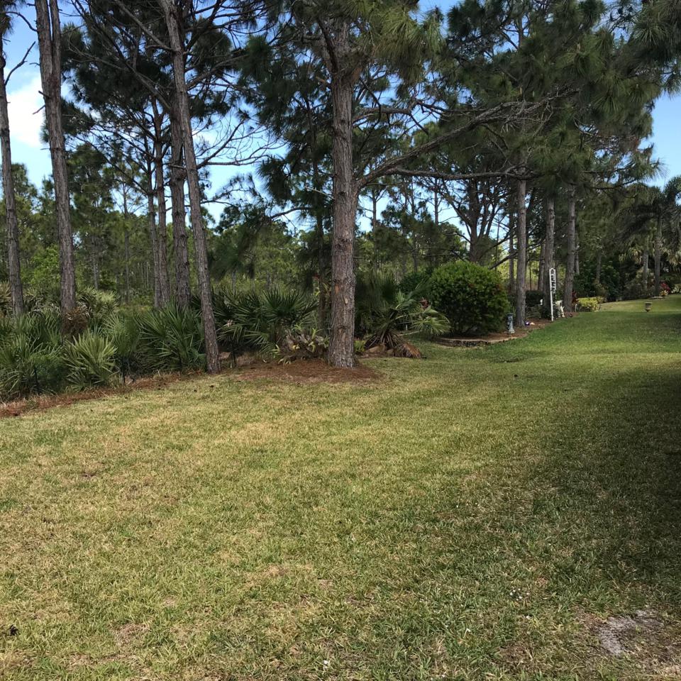 2722 Somber Road - Photo 1