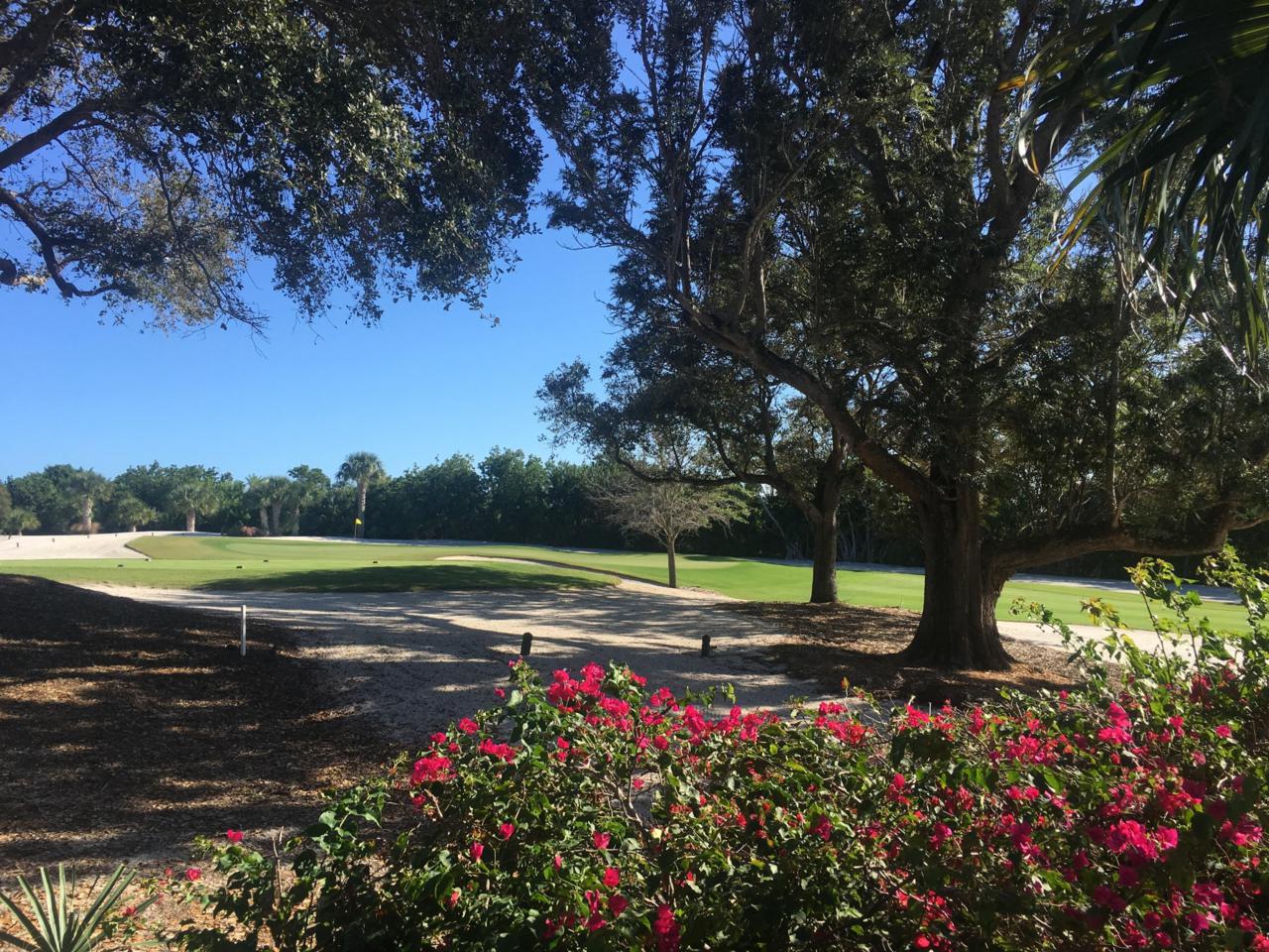 12200 Birkdale Run - Photo 1