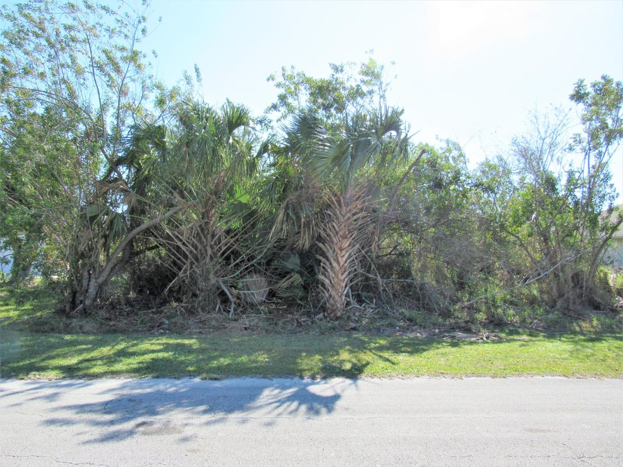 942 Mccomb Avenue - Photo 1