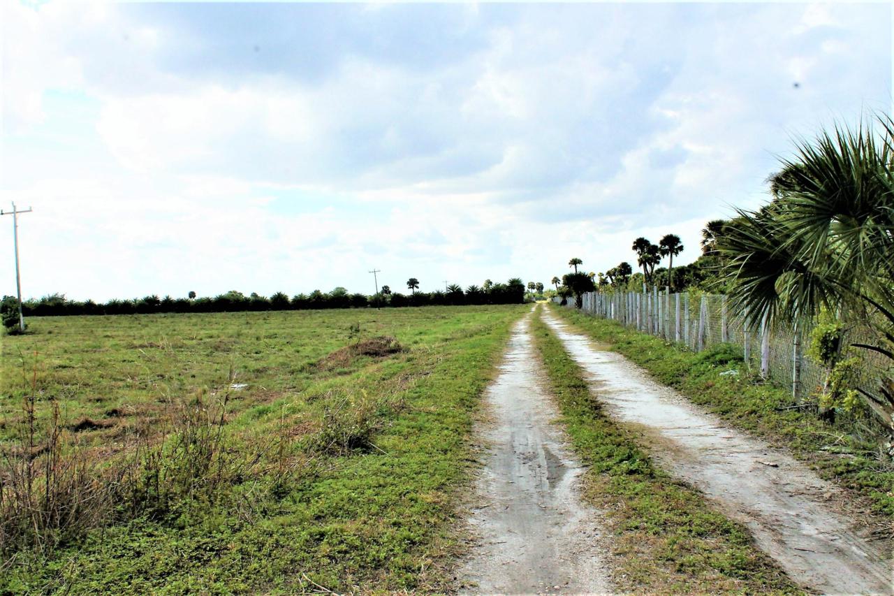 9993 Us Highway 27 - Photo 1