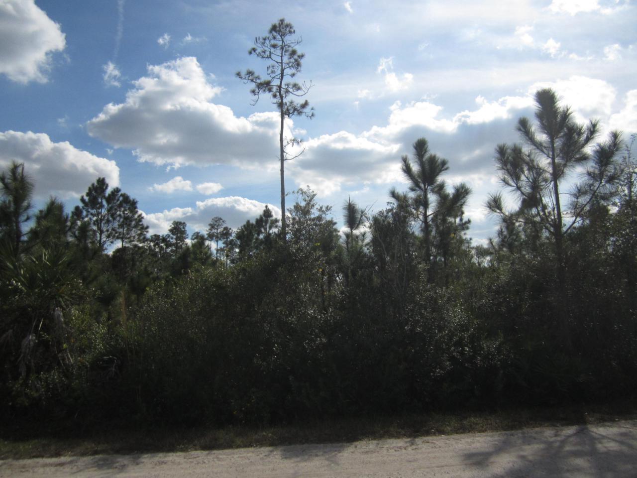 32801 Us Highway 441 - Photo 1