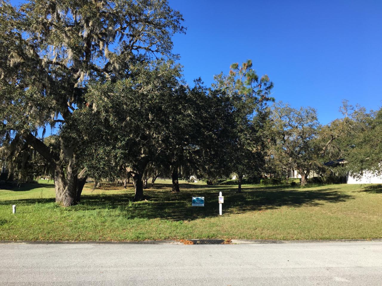 70 Crystal Meadow Path - Photo 1