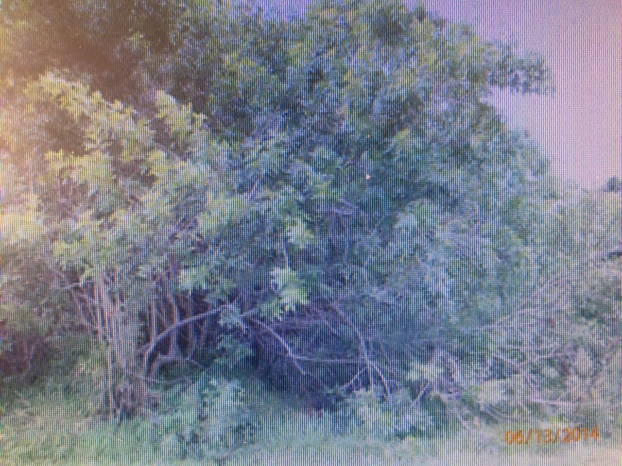 Lot 5 Notlen Drive - Photo 1