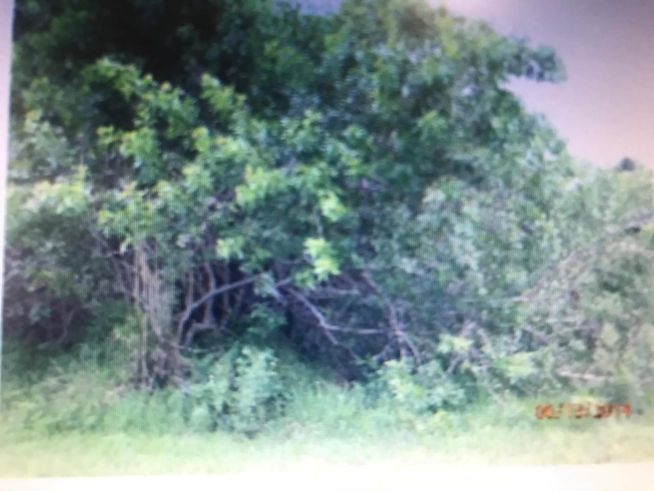 Lot 6 Notlem Drive - Photo 1