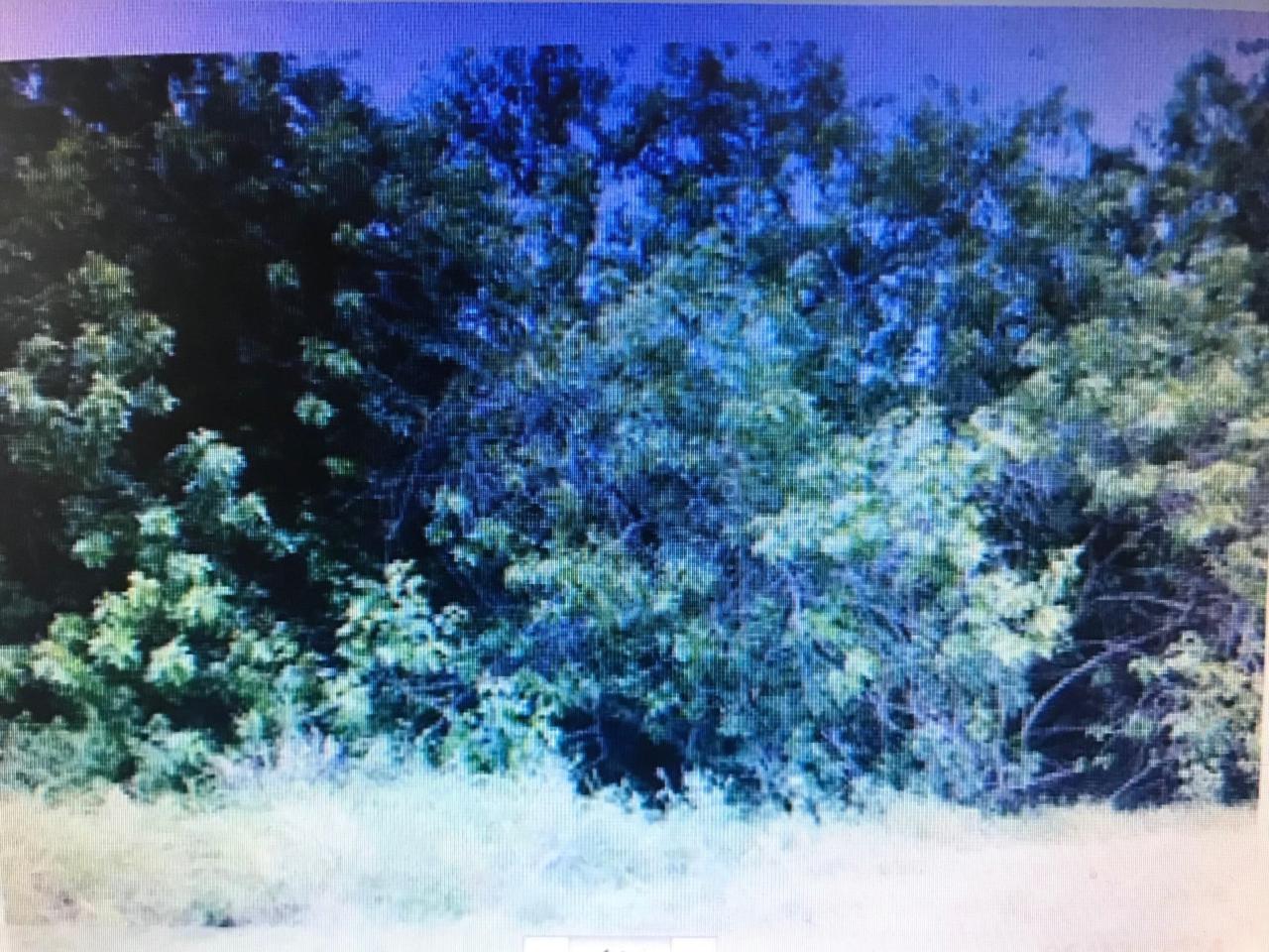 Lot 7 Notlem Drive - Photo 1