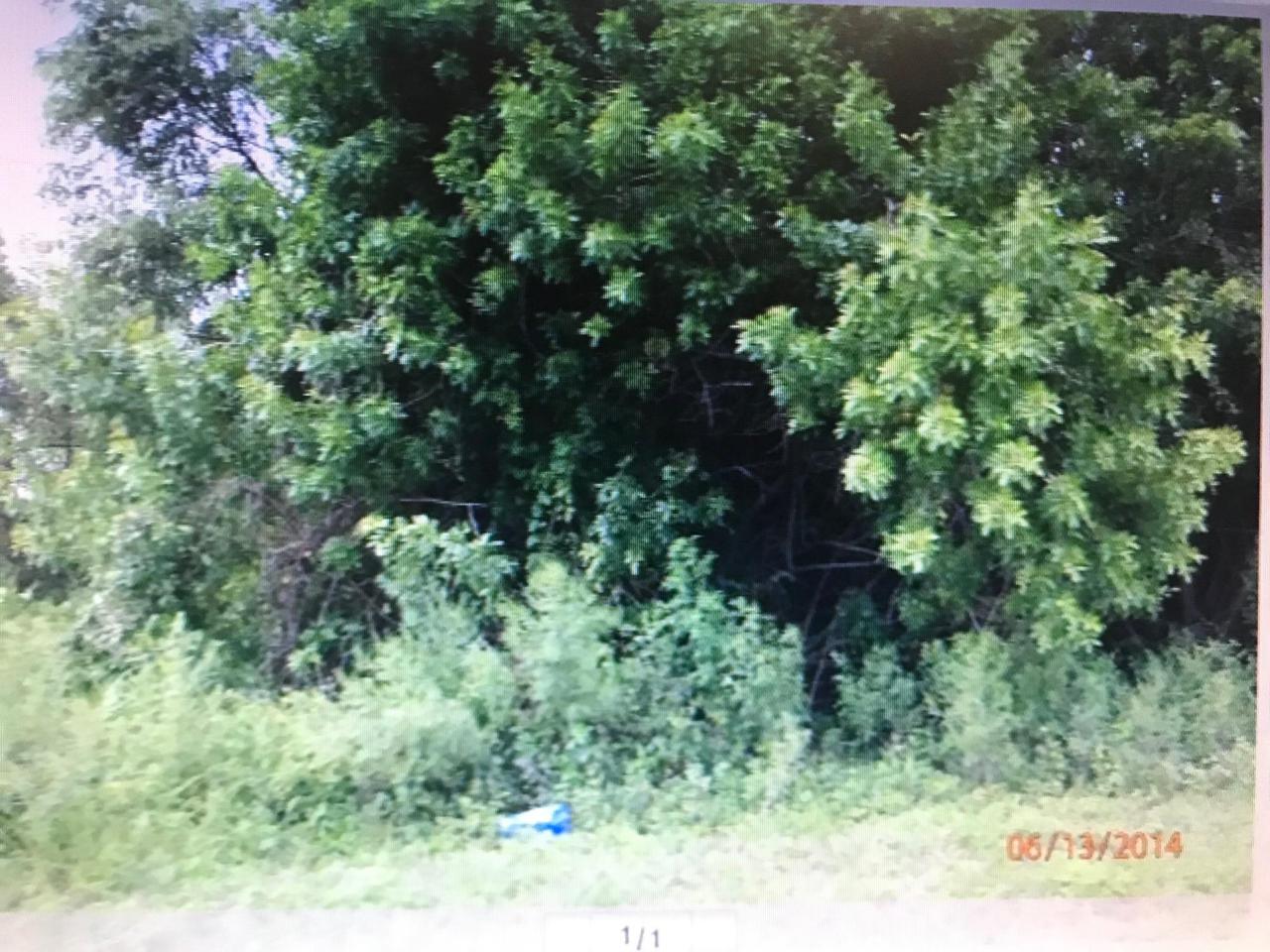 Lot 8 Notlem Drive - Photo 1