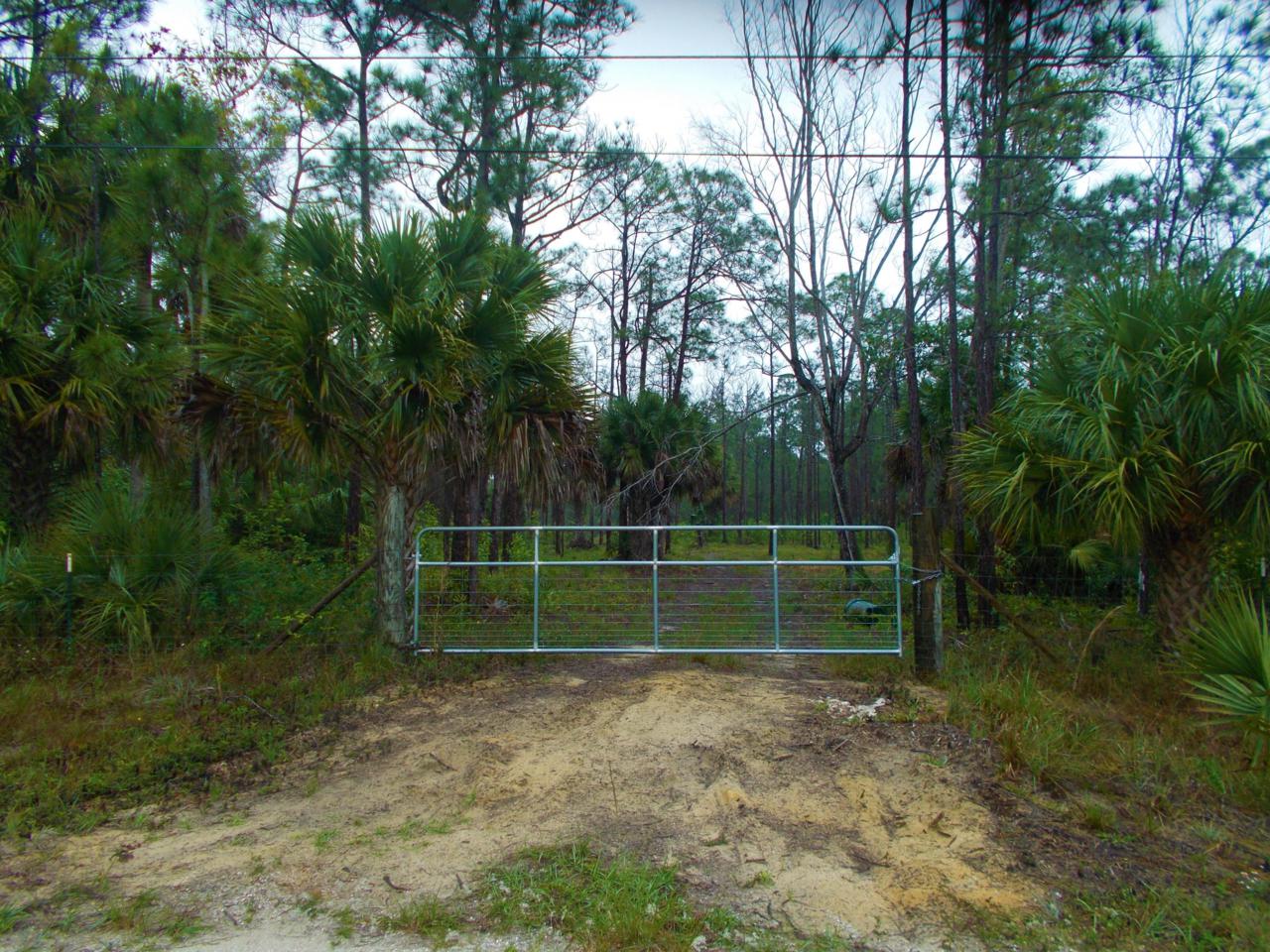 3506 Dellwood Road - Photo 1