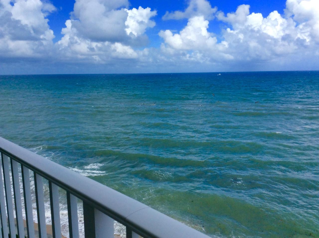 3590 Ocean Boulevard - Photo 1
