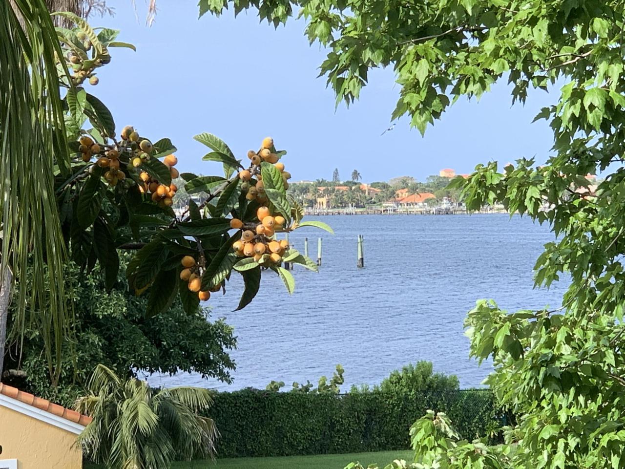 160 Yacht Club Way - Photo 1