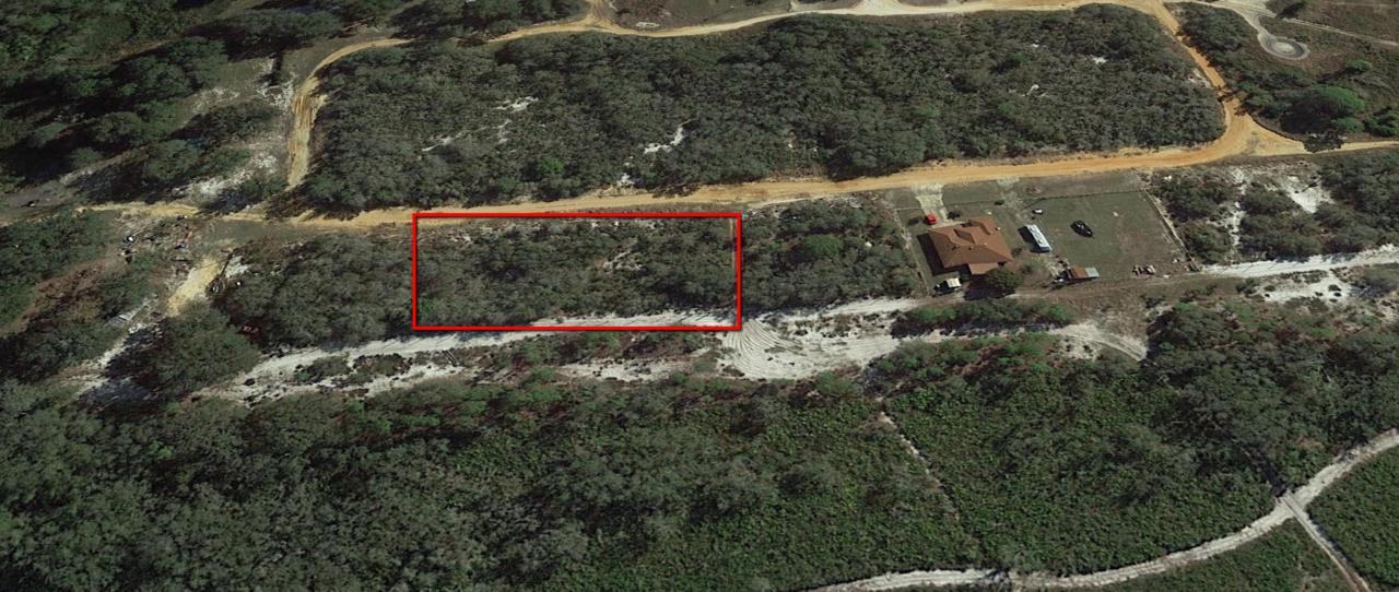 2413 Mink Road - Photo 1