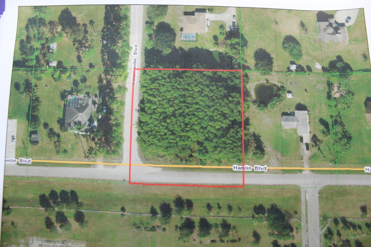 18471 Hamlin Boulevard - Photo 1