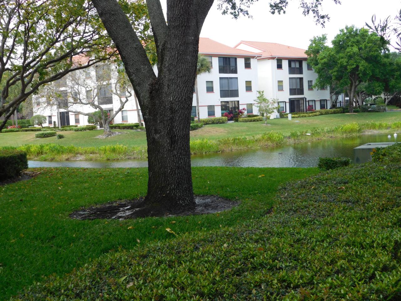 5153 Floria Drive - Photo 1