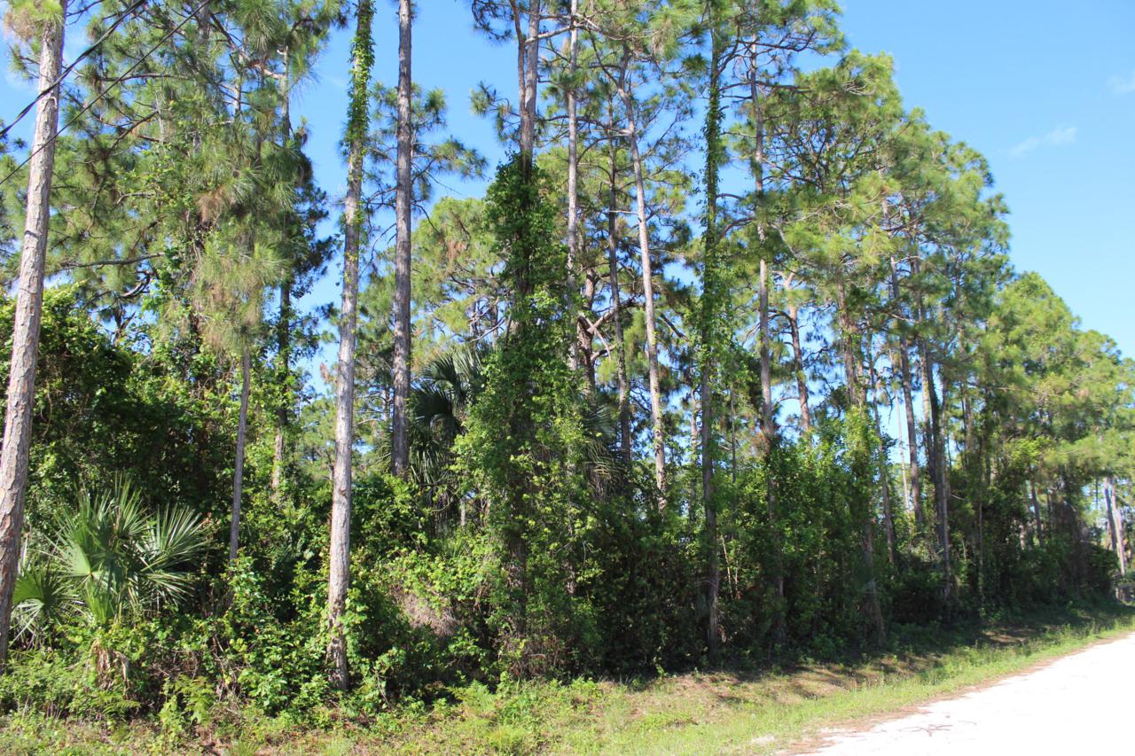 18144 93rd Road - Photo 1