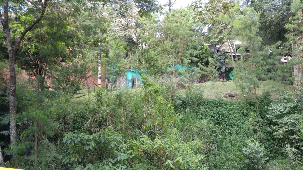 1650 Calle 11A - Photo 1