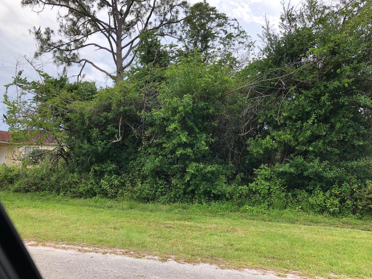 2126 Vista Road - Photo 1
