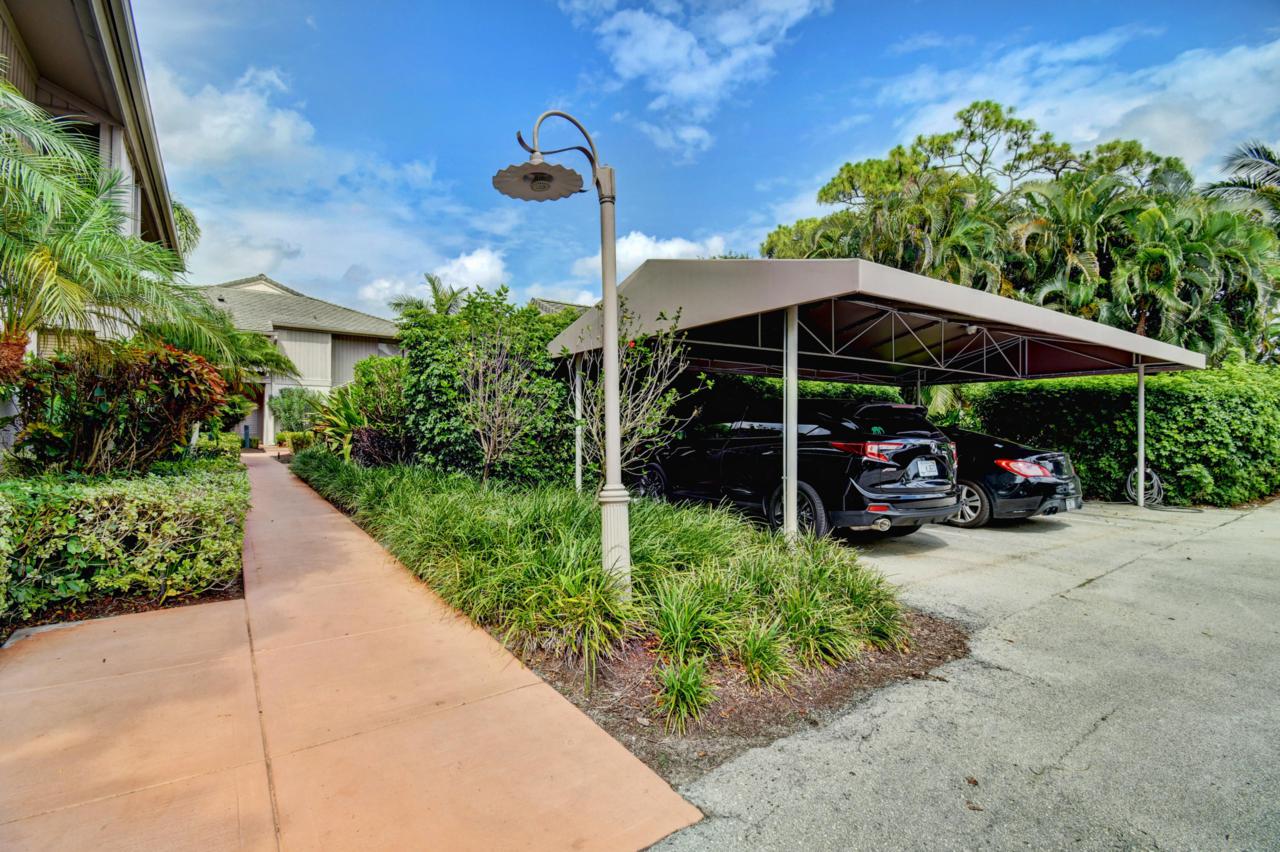 7109 Rain Forest Drive - Photo 1