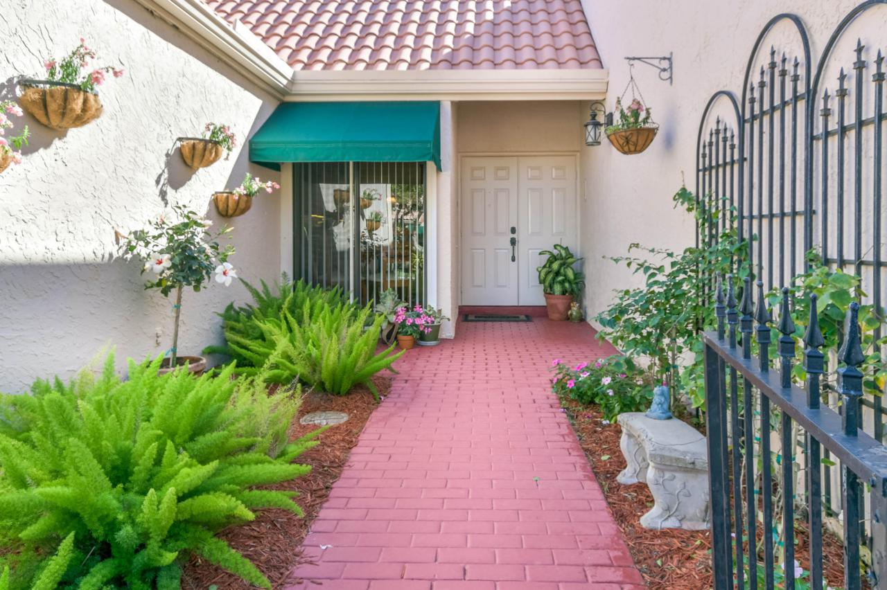 6482 Las Flores Drive - Photo 1