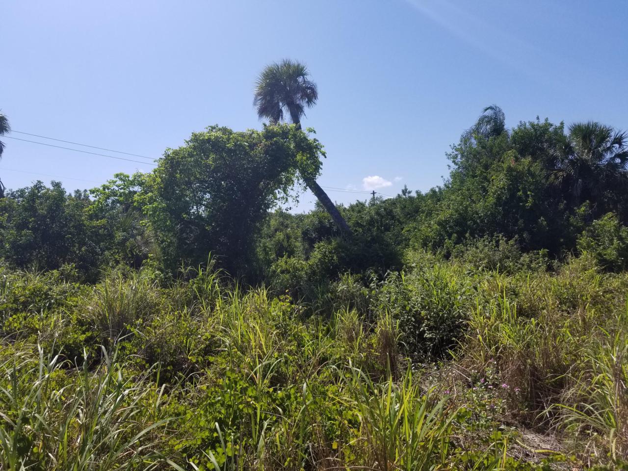 6857 Indian River Drive - Photo 1