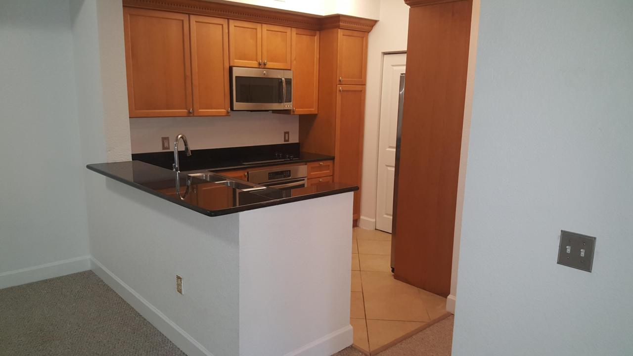 1690 Renaissance Commons Boulevard - Photo 1