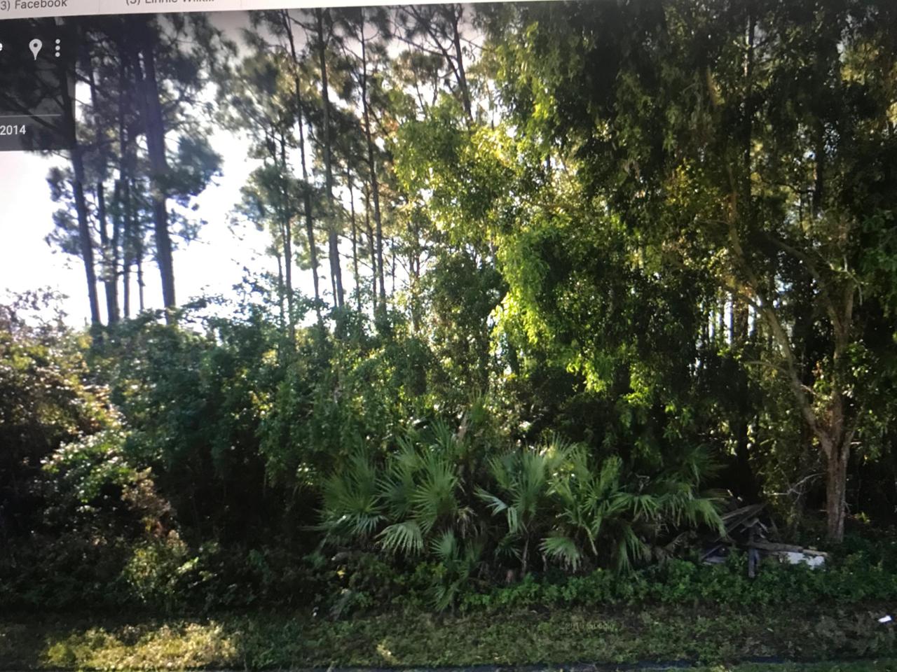 832 Starflower Avenue - Photo 1