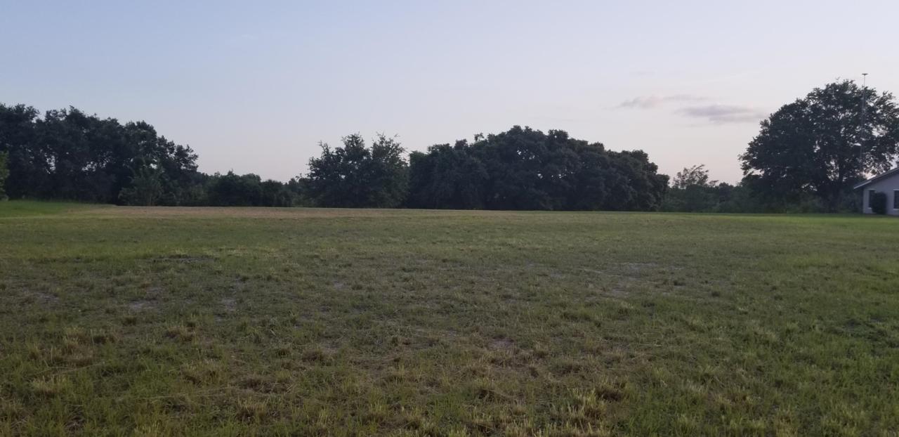 13338 144th Parkway - Photo 1