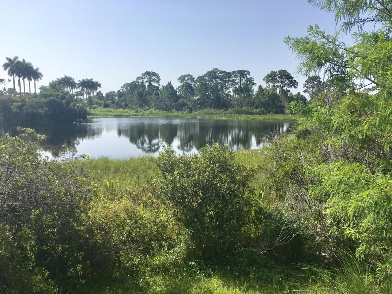104 Rio Casarano - Photo 1