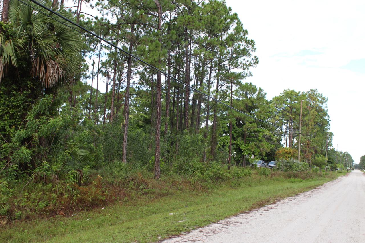 17224 86th Street - Photo 1