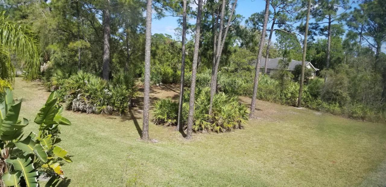 116 Euler Avenue - Photo 1