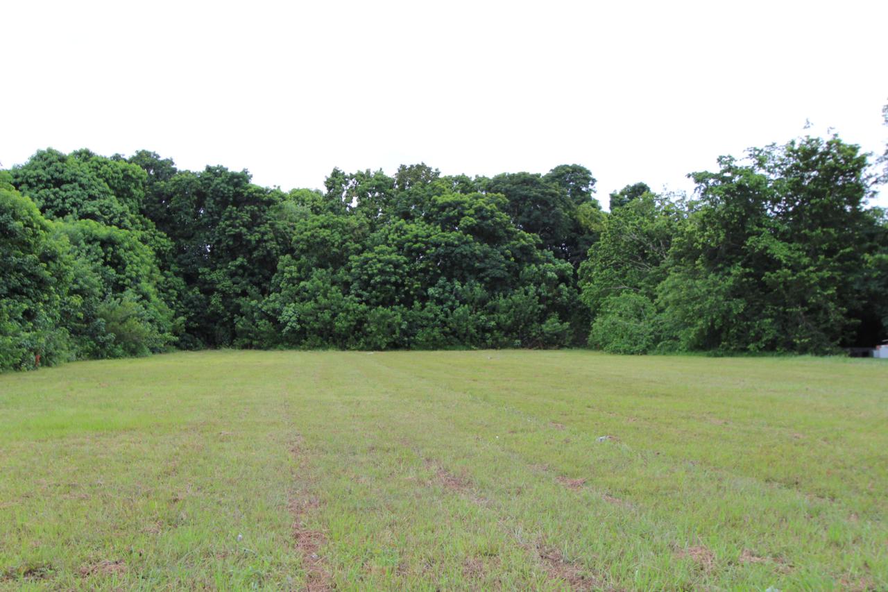 0000 195 Terrace - Photo 1