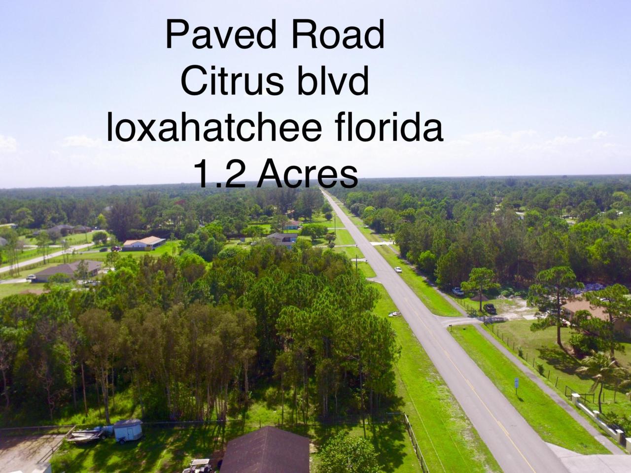 14608 Citrus Grove Boulevard - Photo 1