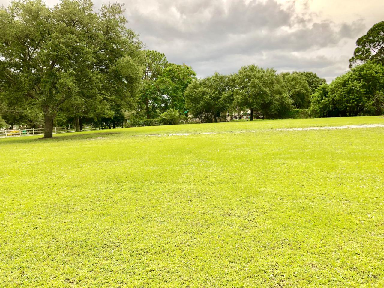 355 Gokchoff Road - Photo 1