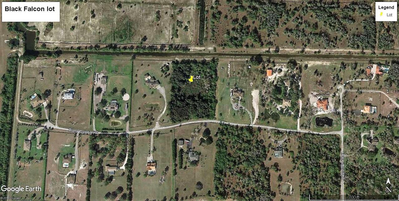 19747 Black Falcon Road - Photo 1