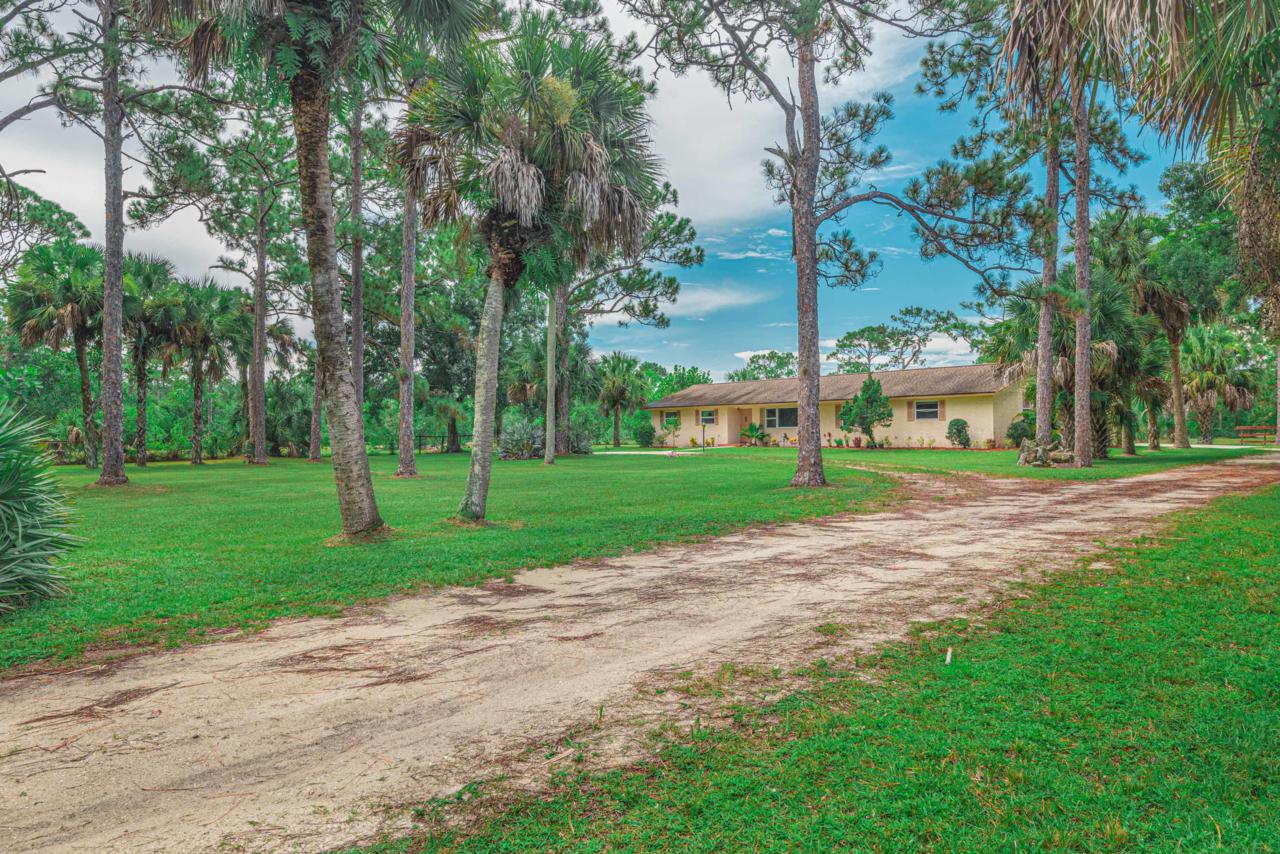 17472 Rocky Pines Road - Photo 1